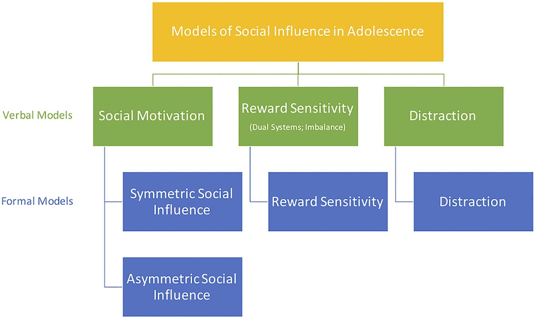 Ett hierarkiskt diagram med titeln 'Modeller för social påverkan i tonåren' som visar olika teoretiska ramverk. Diagrammet är färgkodat med gula, gröna och blå rutor som visar relationer mellan begrepp som social motivation, belöningskänslighet och distraktion.